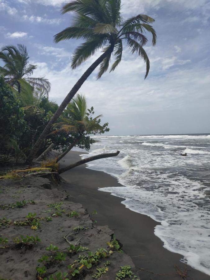 Budda Home Tortuguero Dış mekan fotoğraf