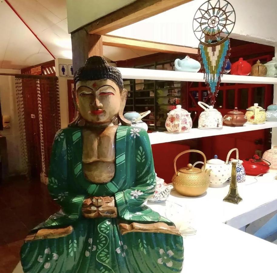 Budda Home Tortuguero Dış mekan fotoğraf