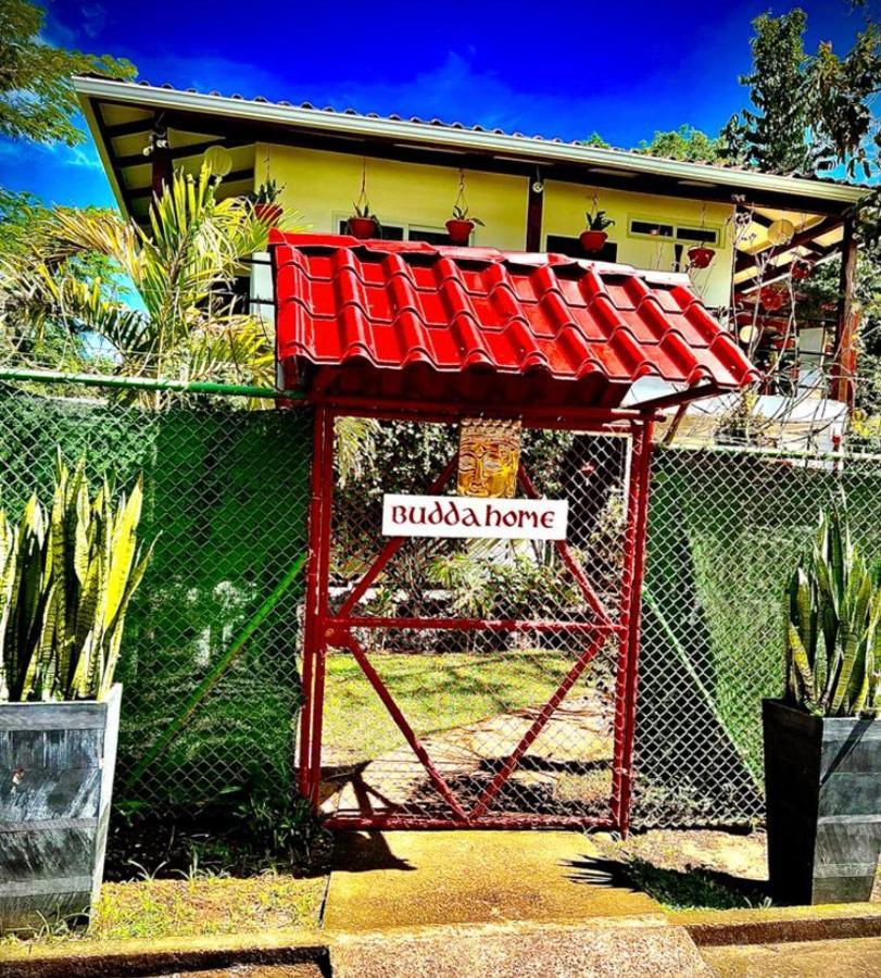 Budda Home Tortuguero Dış mekan fotoğraf